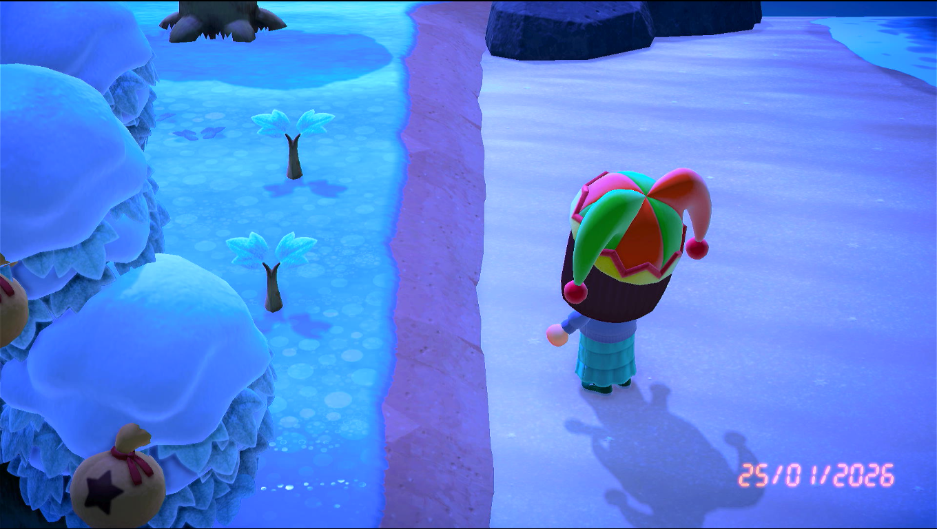 Foto filtrata con io che guardo ad angolo dei germogli sul bordo della spiaggia, timestamp 25/01/2026