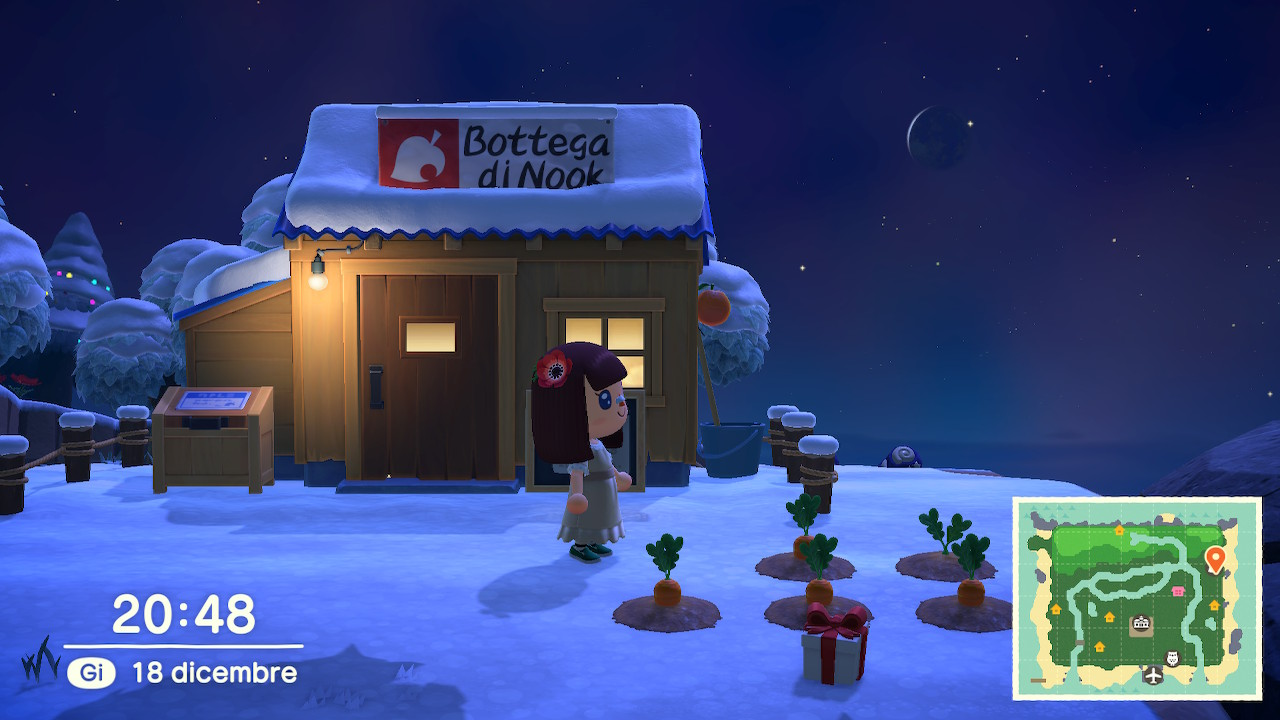 Foto giovedì 18 dicembre alle 20:48 davanti alle piantine di carota, si vede solo 1 carota che spunta da ognuna