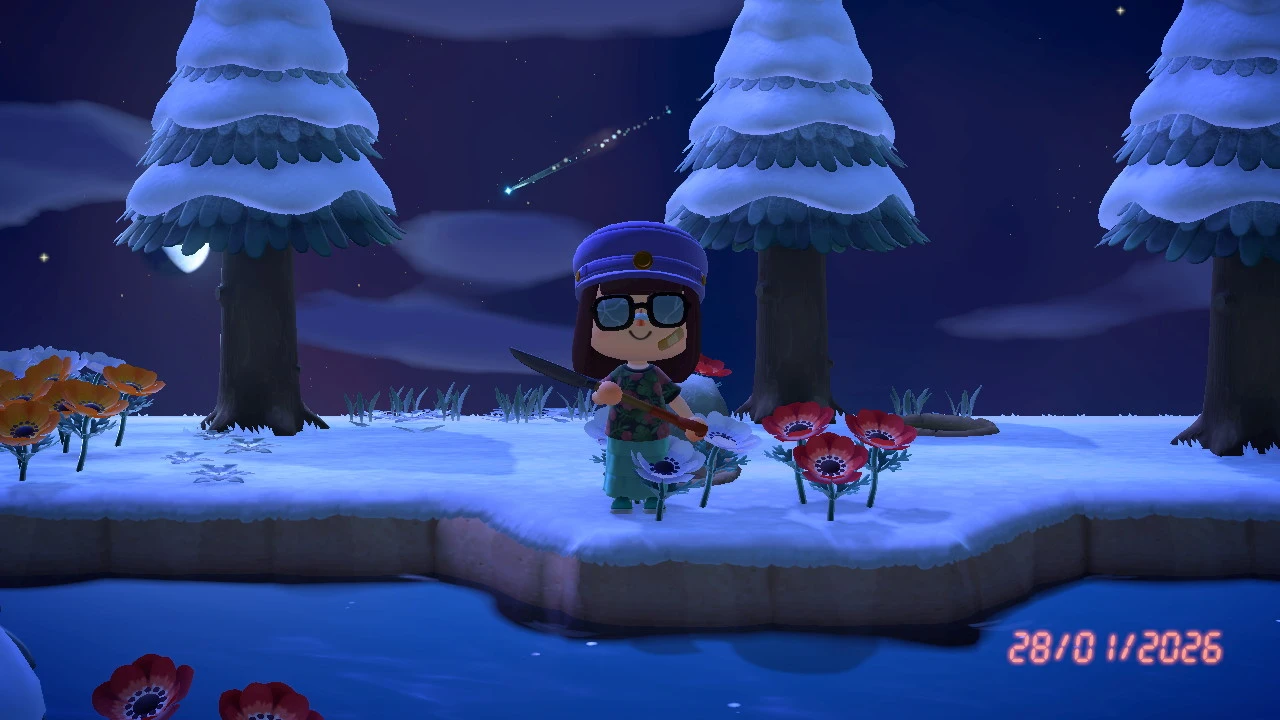 Foto nella parte alta dell'isola, di spalle ad una stella cadente lasciata stare, timestamp del 28/01/2026