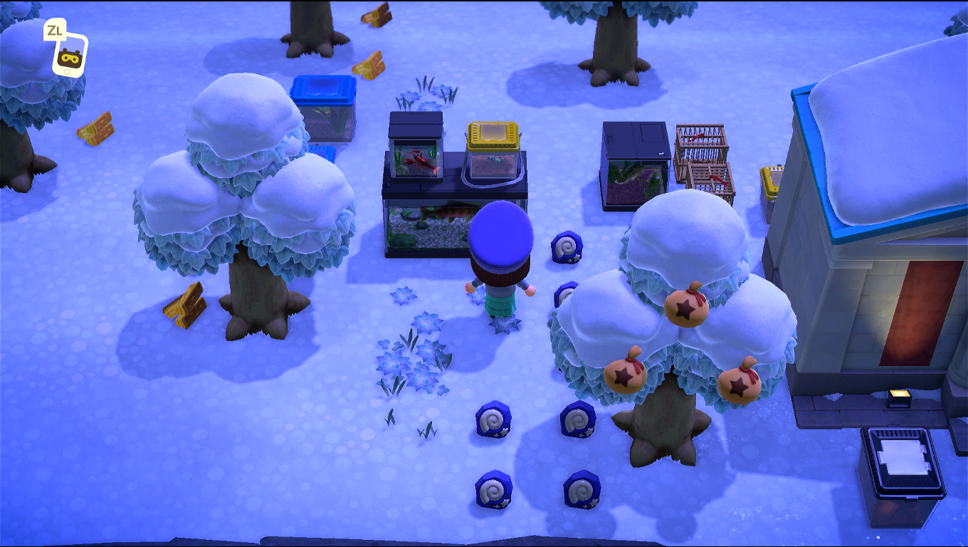 Foto con vista alta sul lato sinistro del museo, si vedono varie teche, e fossili e legna a terra