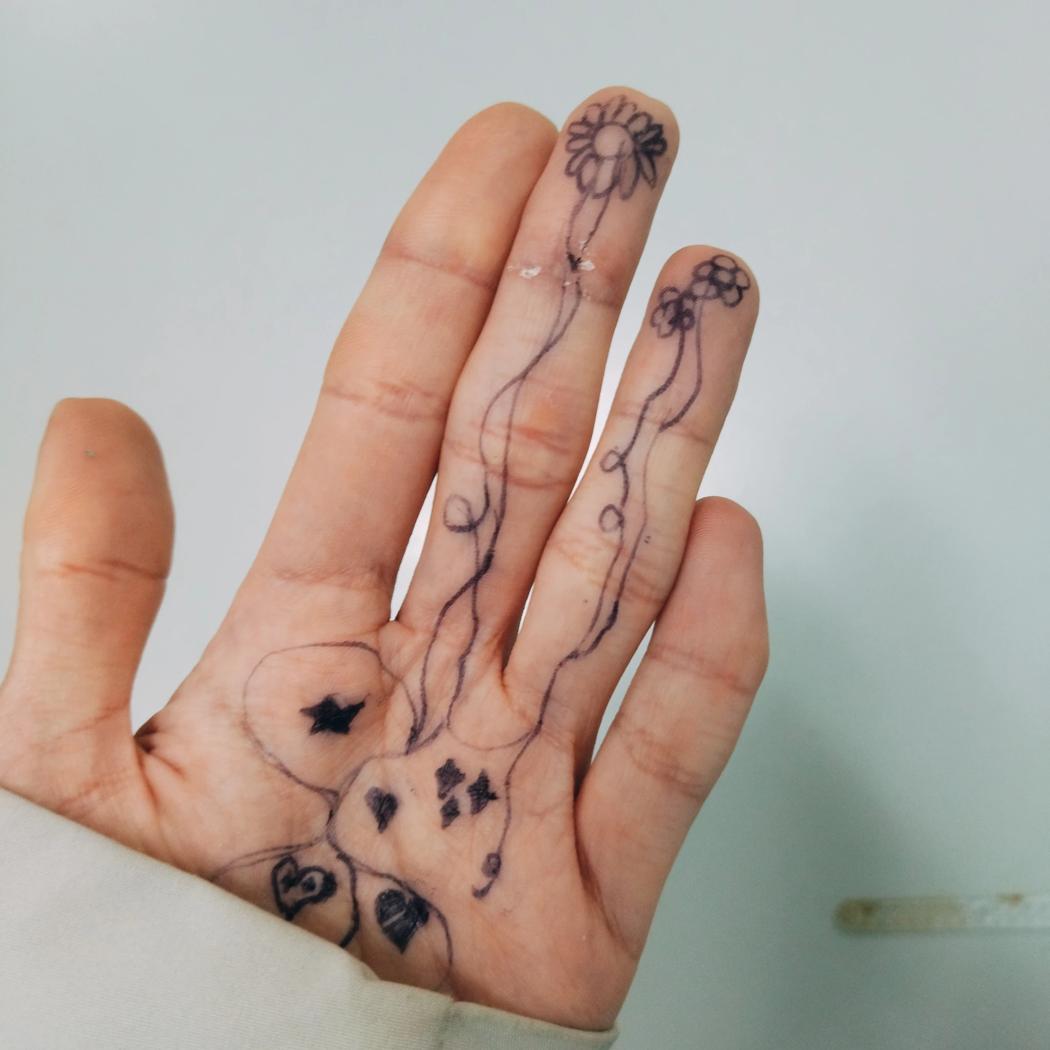 Foto dell'interno della mano vista poco dopo, metà inferiore della mano coperta dalla manica