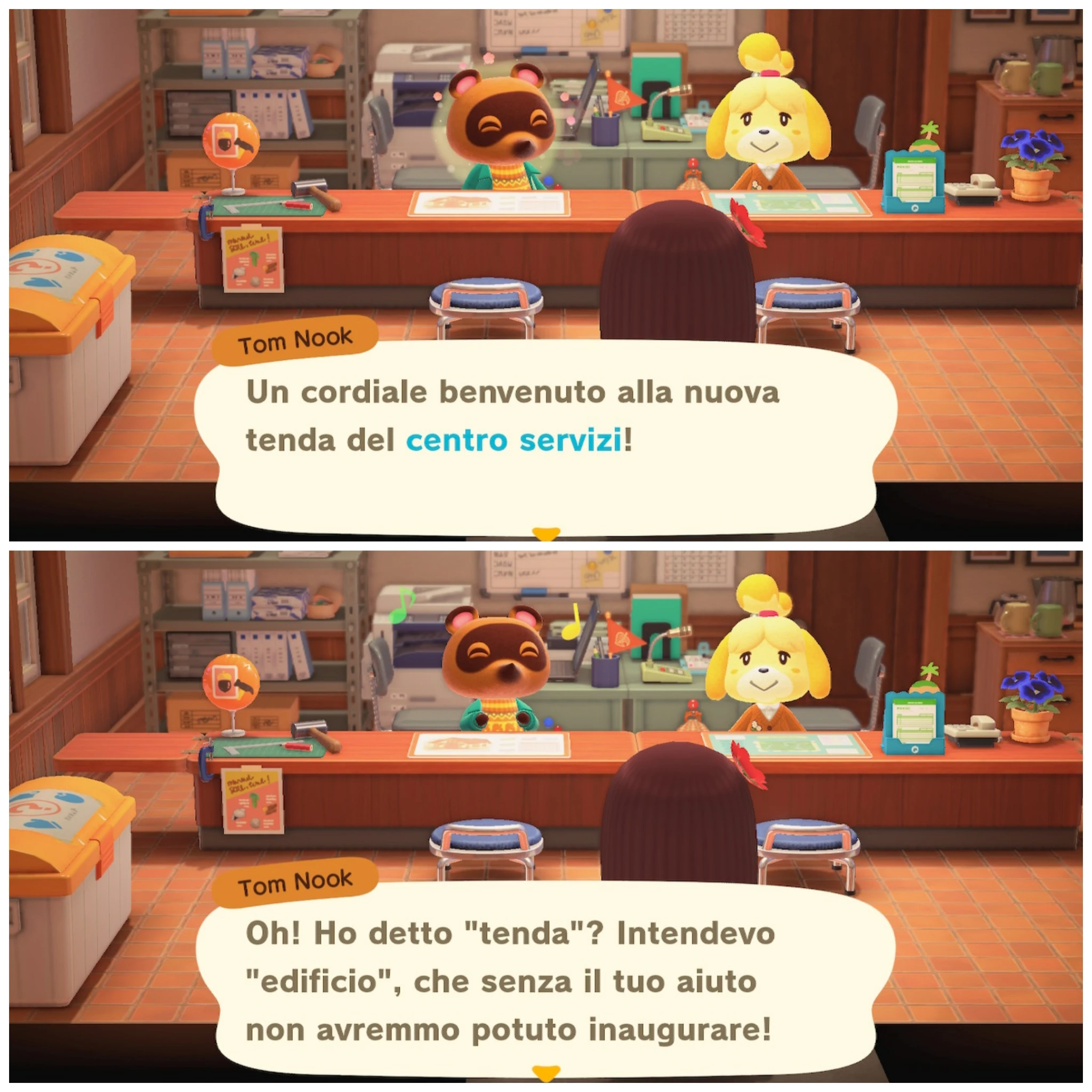 Tom Nook

Un cordiale benvenuto alla nuova
tenda del centro servizi!
---
Oh! Ho detto "tenda"? Intendevo
"edificio", che senza il tuo aiuto
non avremmo potuto inaugurare!