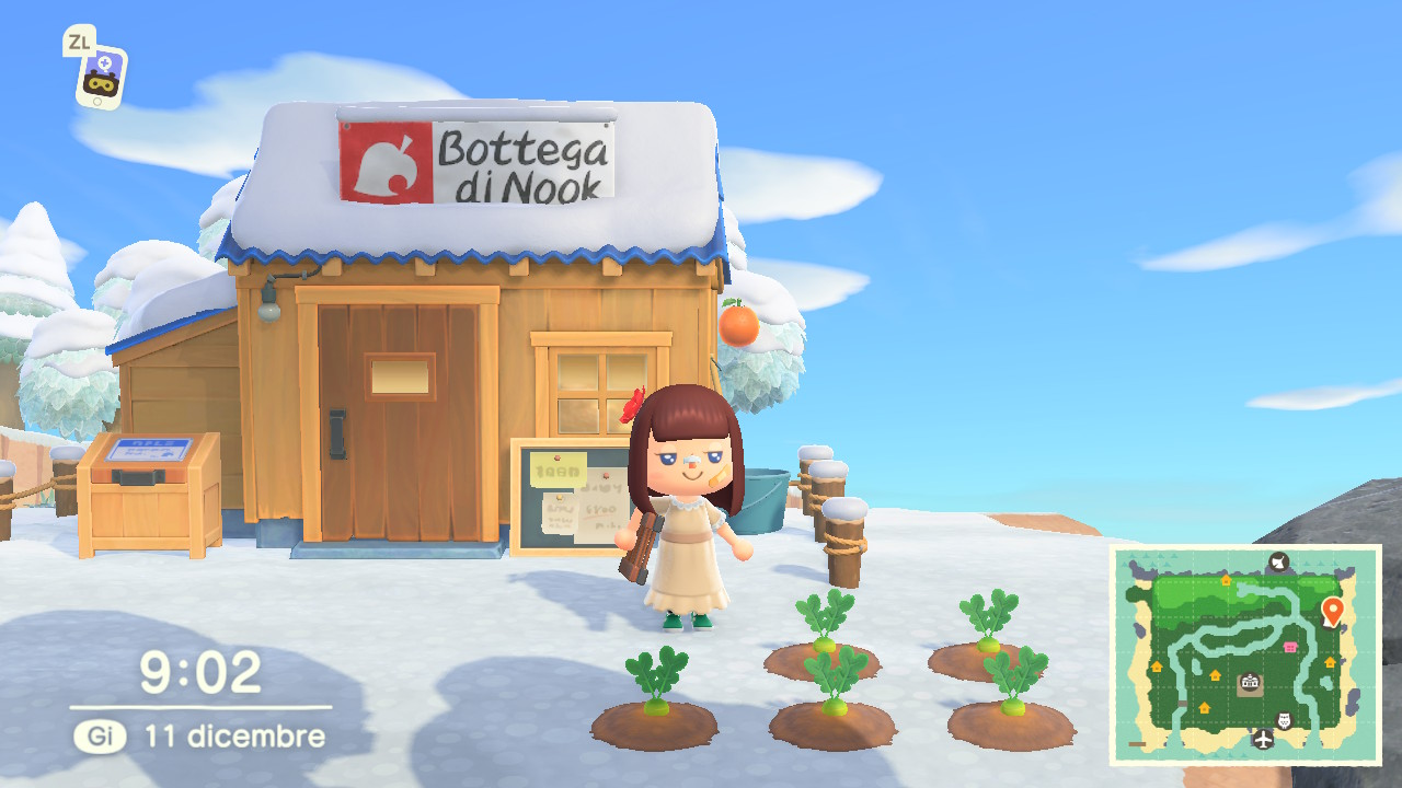 Schermata davanti alle carote giovedì 11 dicembre alle 9:02, come descritto; il pezzo di carota che spunta dalla terra è verdognolo