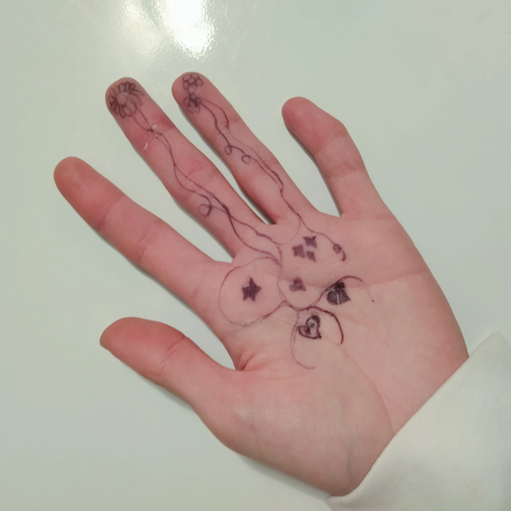 Foto dell'interno della mano vista per intero a casa