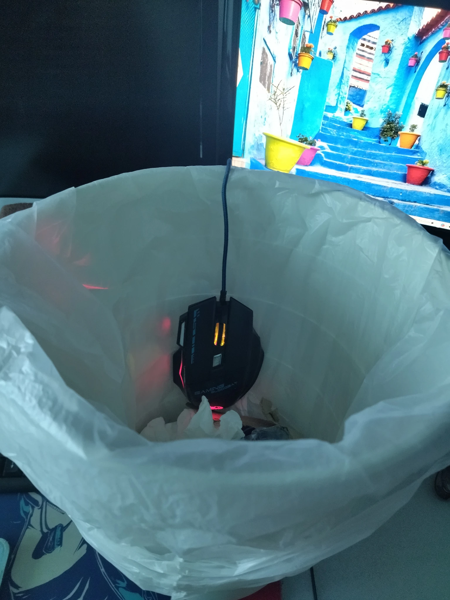 Foto al mouse, ancora collegato al PC, messo nel mio cestino della spazzatura, tutto sulla mia scrvania